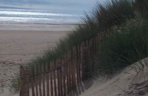La Tireliere, longère bord de mer avec jardin - Foto 43