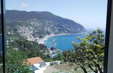 Villa Venino - Foto 18