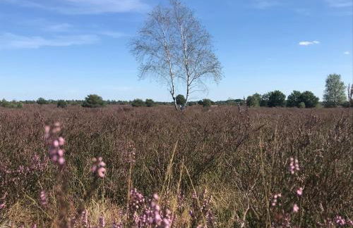 Ferienwohnung Calluna - Foto 6