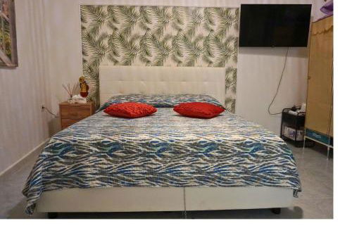 Grazioso appartamento in centro - Photo 13