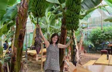 Window to the Sea, south Tenerife - Foto 45