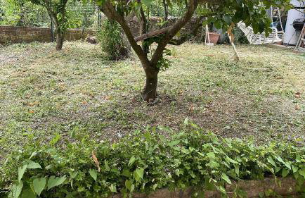 Casa da Nonna Rita - Foto 14