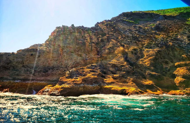 Giro in motoscafo a Ilhéus das Cabras - Foto 2