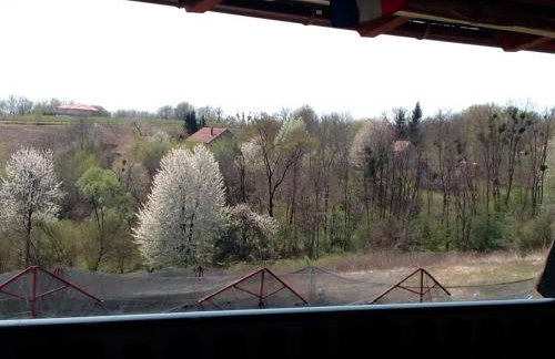 Studio apartman Šafarić - Foto 21