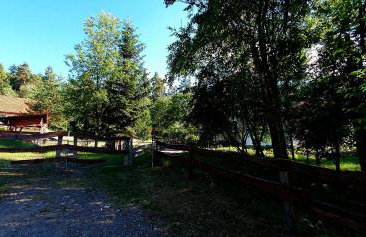 Agroturystyka Stara Huta - Foto 50