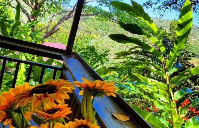 Rancho Fernandez - Photo 26