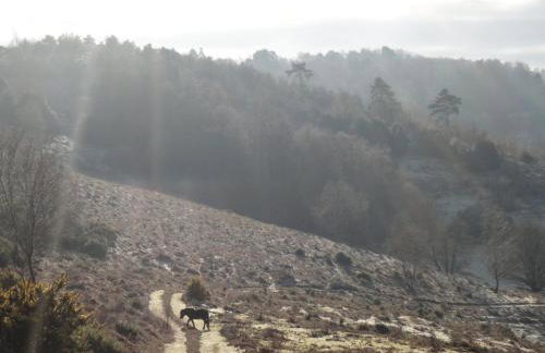 The Old Cook's House - Foto 22