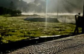 Sítio Koi - Photo 39