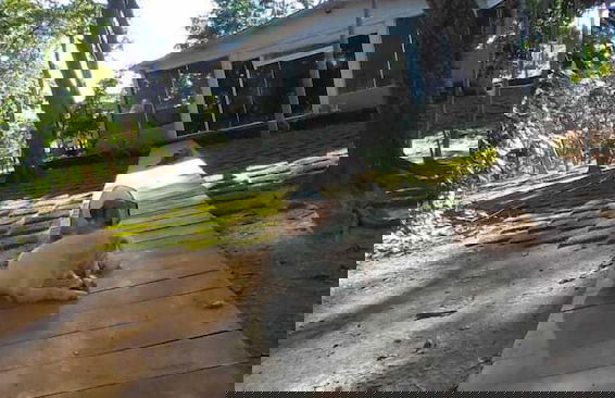 Rancho 5 corações pesqueiro - Foto 7