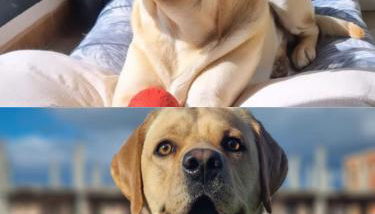 La Casa del Paseo - Foto 2