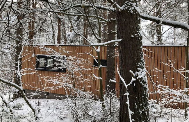 Holiday Home 2 Under the Trees - Photo 25