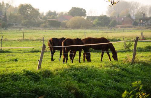 Kulturfreizeiten Ferienwohnungen - Photo 45