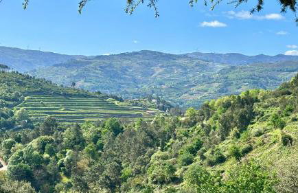 Private Douro- Quinta das Susandas - Foto 29
