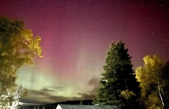 Bonne Bay Cottages - Photo 62