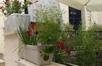 L'Empire D'Essences Appartement - Foto 31