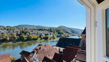 Neckarblick,Natur, Altstadt - Foto 5