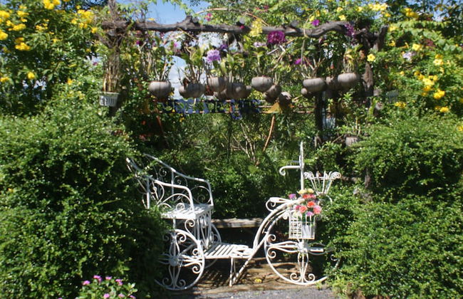 Kampot Nature Villa Resort - Foto 29