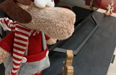 Le Terrier du Katz - Photo 5