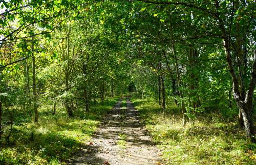 Knapp Cottage - Foto 21