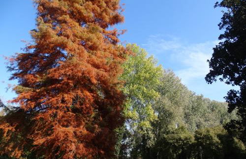 Corte Isolo - Photo 37