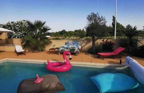 Aux portes de la Camargue entre Nîmes et Arles - Foto 6