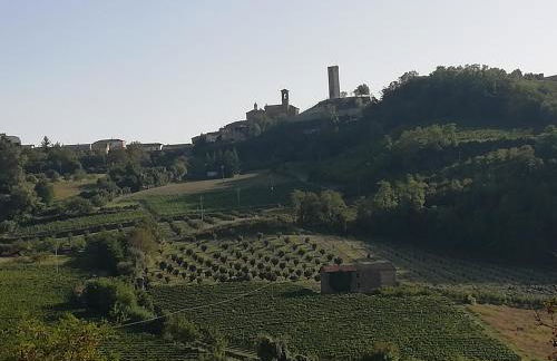 La Giribaldina Winery & Farmhouse - Foto 42