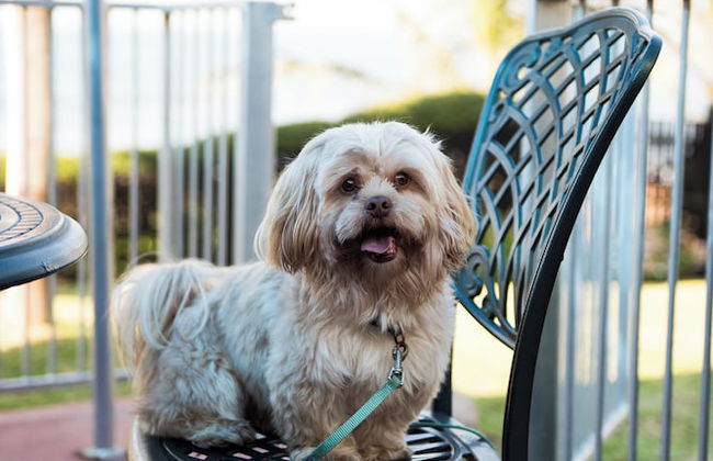 Southern Comfort On the Sea - Foto 18