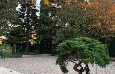 Magnolia Country House - Foto 9