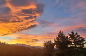 Le Micocoulier - Foto 25