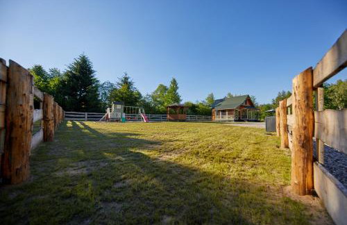 Apartamenty Białe Brzozy - Photo 4