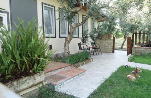 Casa Vacanze Malvarosa - Foto 9