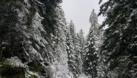 appartement proche gerardmer - Foto 2