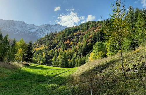 Hotel Chalet du Bon Air - Foto 45