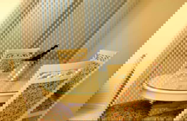 The Charles Robbins - Foto 9