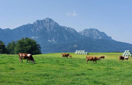 Fuchsbauernhof - Foto 18