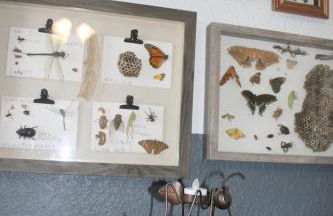 Setting the right vibes. - Foto 40