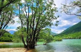 Casetta Angie - Foto 63