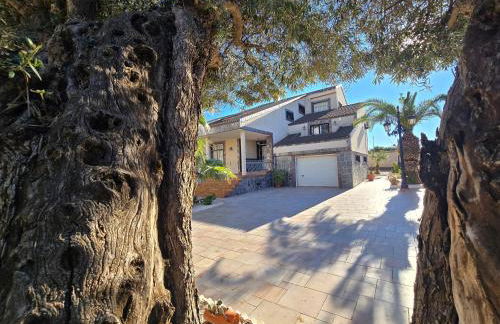 Villa Italia - Foto 5