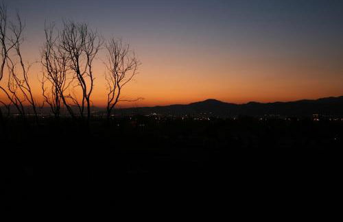 Las Minvas Playa - Photo 26