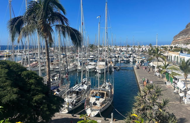 Palm Leaf Mogan - Foto 48