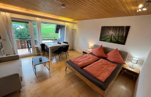 Haus am Sonnenberg, Todtnauberg, Ferienwohnung 204, direkt am Skilift-Skipiste, Nähe Feldberg - Foto 1