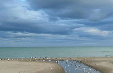 Don Juan, 99 - Photo 18