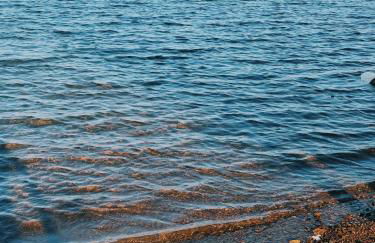 Rancho Bougainville - Foto 18