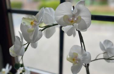 Suite 2 SZ- Lichtenberg - Foto 1