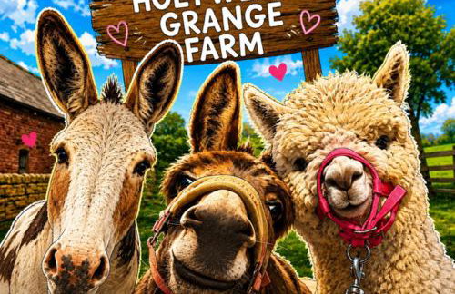 Holywell Grange Farm - Foto 1