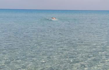 Casetta MaCa fronte mare - Foto 38