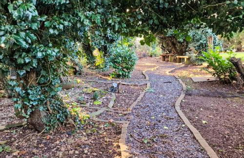 Forest View Cottage - Foto 9