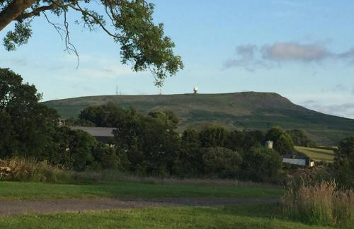 RedWood Lodge - Photo 30