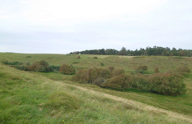 14 Person Holiday Home in Vejby - Foto 16