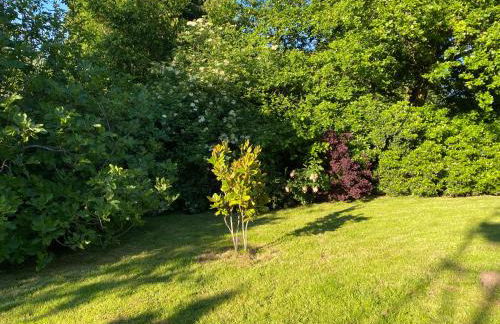 Thatch Close Cottages - Foto 33